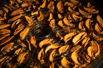 sunlight illuminates dried apples on a round tray