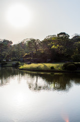 Fototapeta na wymiar Japanese Garden in Tokyo