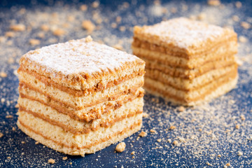 pieces of homemade honey cake. dark background