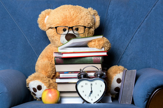 teddy bear hugs books