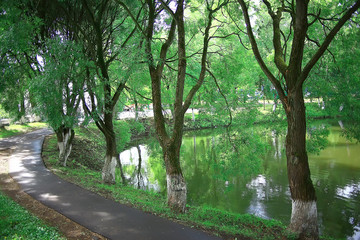 Fototapeta na wymiar summer park landscape, green trees and walkway in the summer city park