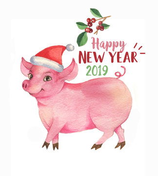 Hand drawn  watercolor illustration of cute cartoon  pig isolated on white background. Pig is a symbol of the 2019 Chinese New Year. Greeting card template