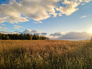Sunny Autumn's Day at Lakeshore