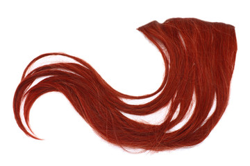 a strand of red hair on a white background, isolated