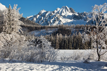 Beautiful winter landscape, trees in snow by frozen lake surrounded by mountains