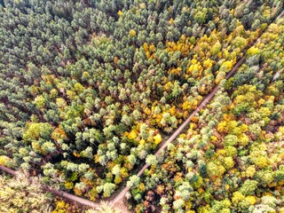 Farben der Erde. Mischwald im Herbst. Franken.