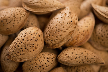Closeup of unpeeled almond nuts, selective focus, horizontal shot