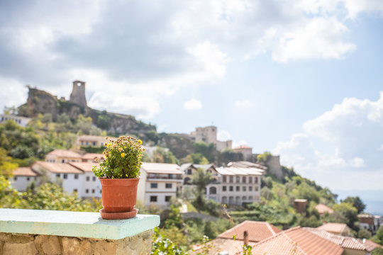A flower pot on the background of the old city in Albania