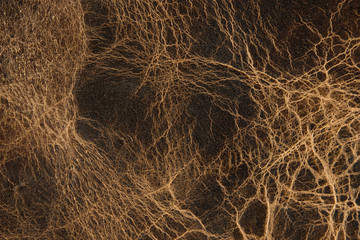 Leather texture background