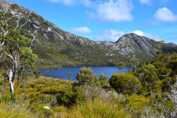 Fototapeta na wymiar Lake St Clair landscape, Tasmania, Australia
