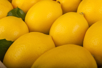 A series of healthy lemon set as background