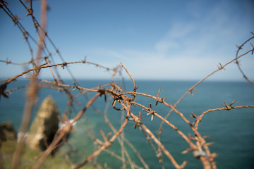 Barbed wire by the sea
