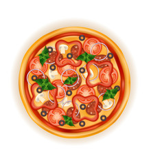 big round pizza with cheese tomato salami olive champignon onion stock vector illustration
