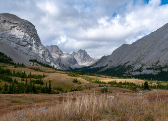 Dry grass at end of summer in the Canadian Rockies