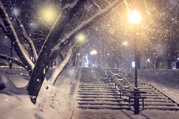 Photo sur Plexiglas Hiver Winter park at night. Christmas background