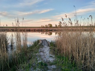 landscape with river