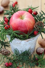 christmas decoration with apple in a pot and yew twigs