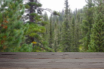 Fototapeta na wymiar table in forest