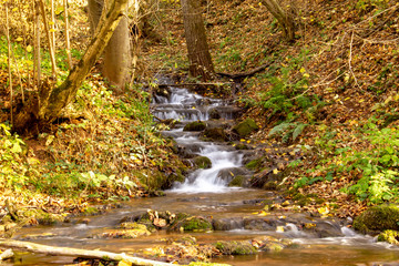 Small waterfall on Grza river in autumn. Beautiful small river surrounded with forest in nature park Grza.