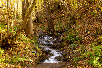 Small waterfall on Grza river in autumn. Beautiful small river surrounded with forest in nature park Grza.