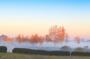 Jesienny Park O Świcie © Wojciech Lisiński