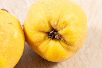 Close up of a yellow quince