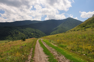 The road between green fields in the beautiful mountains