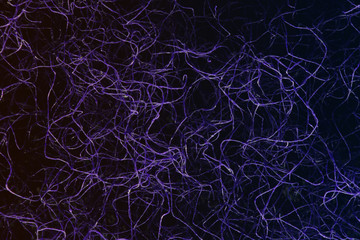  Neuron fiber microscope