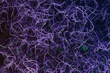  Neuron fiber microscope