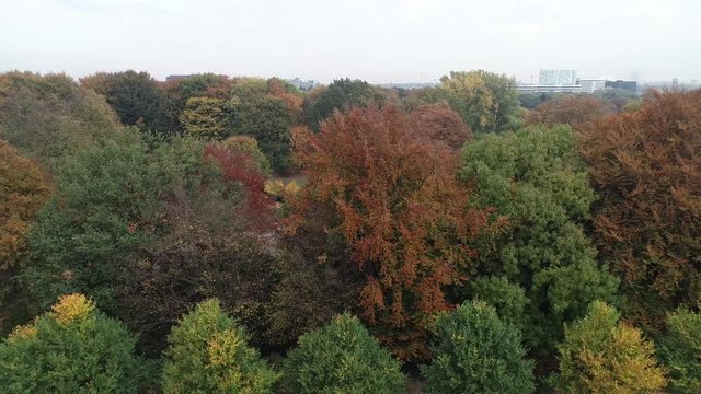 Blätter bekommen eine andere Farbe zum Herbstanfang