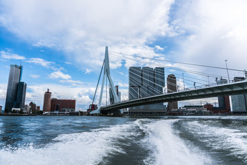 Rotterdam Skyline with Erasmus Bridge (Kop van Zuid neighborhood), The Netherlands