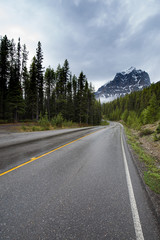 Fototapeta na wymiar Rainy mountains road in Alberta, Canada