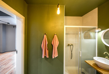Modern loft bathroom made in green and white colors with retro plumbing elements