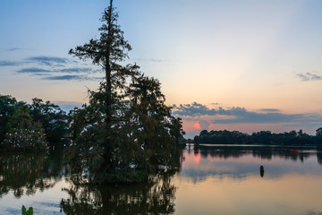 landscape with trees and lake