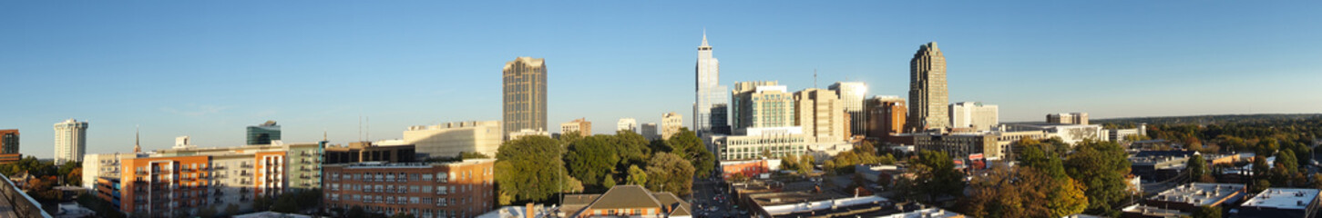Fototapeta na wymiar Downtown Raleigh panorama