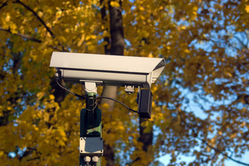 CCTV camera on the background of yellow autumn foliage.