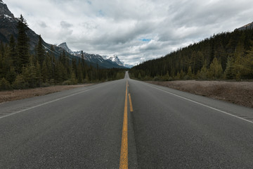 Fototapeta premium road in the mountains