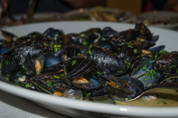 Steamed mussels with parsley and garlic - typical sicilian appetizer. Closeup of cooked mussels.