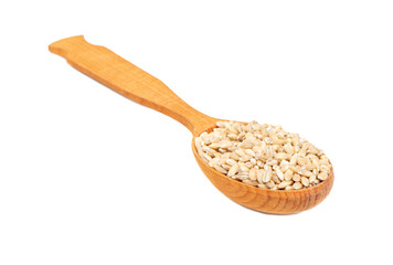 Pearl barley in spoon