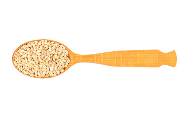 Pearl barley in spoon