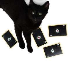Black kitten lying on a square of four aces. Isolated on a white background.