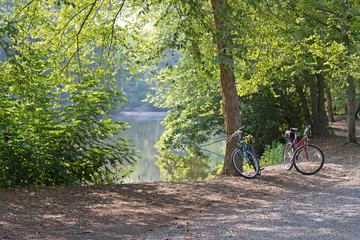 Bicycles Parked By a Scenic Forest Lake
