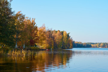 Obraz premium Autumn on the lake. Colorful trees are reflecting in water.