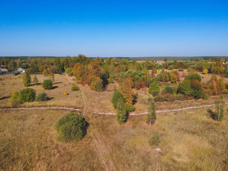 View from the height of the road forest autumn yellow trees and grass