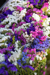 Fototapeta premium In a wicker basket variety of limonium sinuatum or statice salem flowers in pink, lilac, violet colors in garden shop.