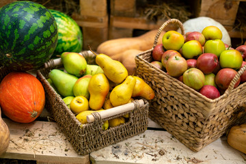 autumn fresh raw harvest mix of fruit and vegetables f