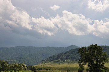 Beautiful view of green mountains, trees with high and stormy rain clouds .