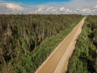 Gravel road in the Russian forest at sunset