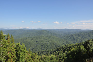 Beautiful view of the green Altai mountains, trees from high and clouds from the sky.