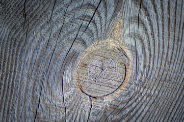 Tarred wooden structure close up. Tree annual ring. Textured background.